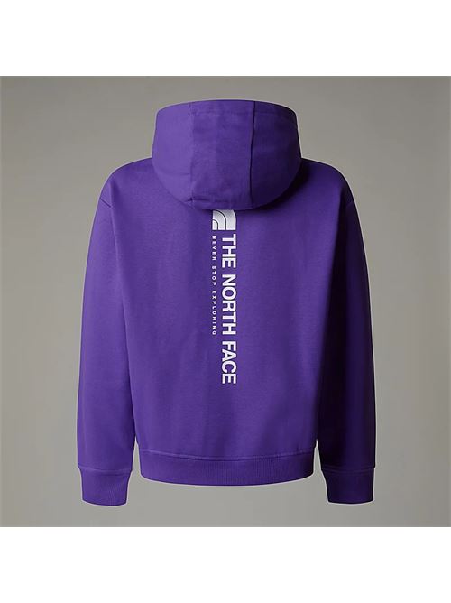g vertical graphic oversized THE NORTH FACE | NF0A89HDNL41NL4
